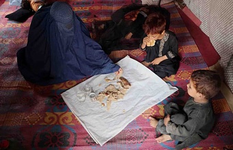 афганистан в тисках: закрытие двух торговых коридоров грозит гуманитарной катастрофой