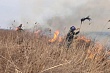 площадь пожара увеличивается: у аэропорта астаны загорелся сухостой