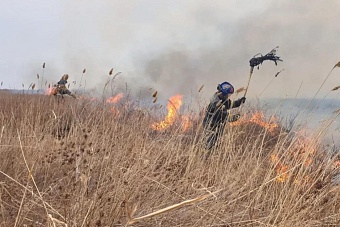 площадь пожара увеличивается: у аэропорта астаны загорелся сухостой