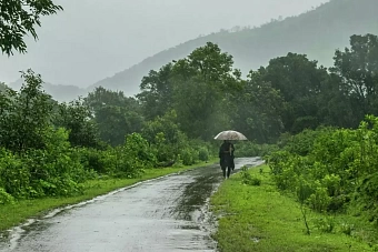 дожди пройдут в узбекистане и кыргызстане: погода в четверг, 24 мая 2024