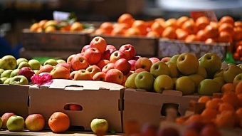 китай стал основным направлением экспорта сельхозпродукции таджикистана
