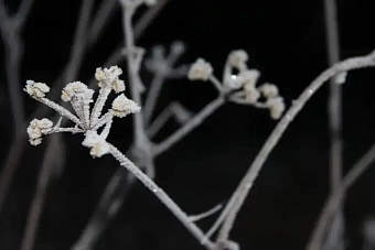 сильный ветер и гололед: погода в казахстане на среду, 13 марта 2024