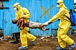 Смертельный экспорт из Конго: Эбола подбирается к Израилю, пока Запад тонет в бюрократии