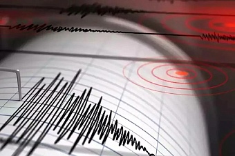 кыргызские строители спасали детей при землетрясении на камчатке 