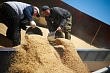 В Кыргызстане ограничили экспорт сельхозпродукции (какая продукция попал под запрет)