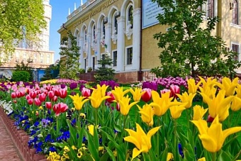 местами дожди, опасность схода лавин: погода в странах центральной азии в воскресенье, 14 апреля