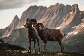 погода, в странах центральной азии, 4 июля 2023 года: в алма-ате +32, в ташкенте +34