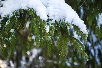 сильные осадки обрушатся на казахстан: погода в среду, 20 ноября 2024