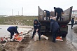 паводок 2024: в казахстане считают, что заявления российского полпреда якушева некорректны