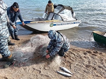 президент кыргызстана призвал добровольно сдать синтетические рыболовные сети