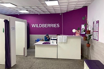 wildberries начнет продавать электронику и бытовую технику под собственной торговой маркой 