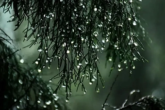 заморозки и сильный ветер придут в казахстан: погода в понедельник, 23 сентября 2024