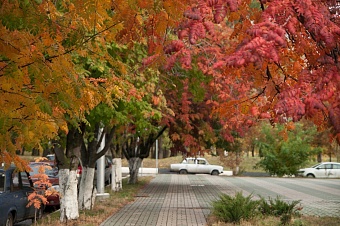 теплая погоды все еще порадует жителей казахстана в пятницу, 31 октября 2025 года