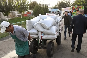 число трудовых мигрантов из узбекистана в 2024 году сократилось на 32% 