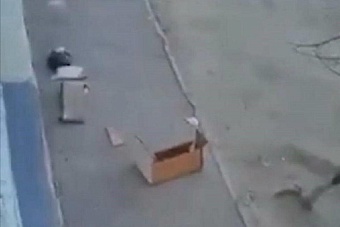 хирурги из астаны сделают операцию мужчине, на которого скинули диван