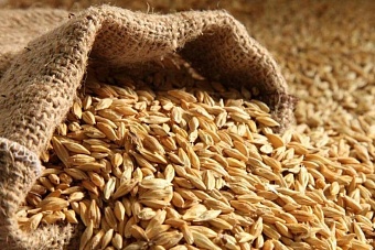 совместный российско-узбекский агрологистический комплекс открыт в джизакской области