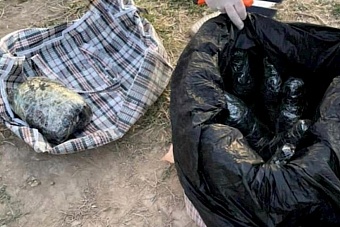 Объем наркотрафика из Афганистана в Таджикистан не снижается, несмотря на обещания талибов