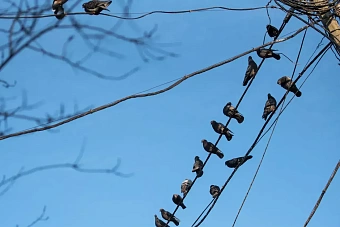 весенняя прохлада до +15 градусов: погода в странах центральной азии в среду, 6 марта 2024