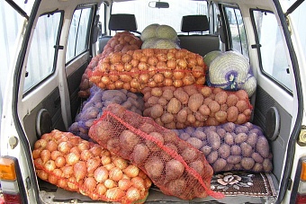 «Горе репчатое»: из каких стран Центральной Азии в 2023 году запрещен экспорт лука в Россию (список, основание)