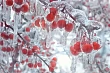 зима ослабляет хватку: погода в казахстане на 25 февраля 2024