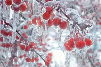 зима ослабляет хватку: погода в казахстане на 25 февраля 2024