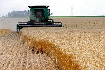 кыргызстан нарастил импорт  пшеницы из россии и казахстана