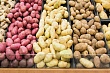 в афганистане засеяли узбекским картофелем пробные поля