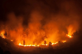 крупнейший за всю историю пожар в бельгии угрожает европе