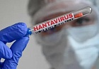 Смертельная угроза обнажила бессилие медицины: хроника распространения хантавируса (13 мая)