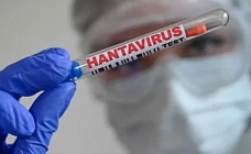 Смертельная угроза обнажила бессилие медицины: хроника распространения хантавируса (13 мая)