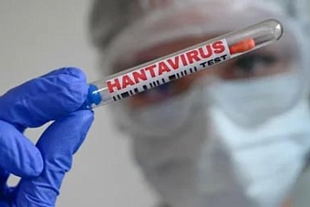 Смертельная угроза обнажила бессилие медицины: хроника распространения хантавируса (13 мая)