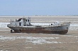 на осушенном дне аральского моря создадут пастбища и начнут развивать пчеловодство