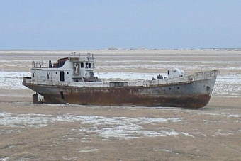 на осушенном дне аральского моря создадут пастбища и начнут развивать пчеловодство