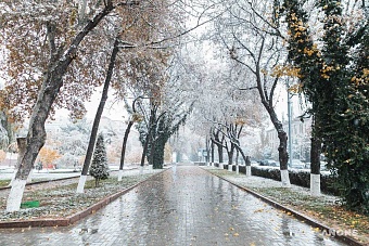 какой будет погода в странах центральной азии во вторник, 14 января 2025