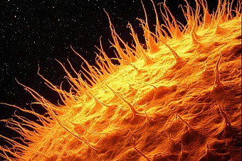 люди и электроника под угрозой: что приготовило солнце в понедельник, 10 февраля 2025