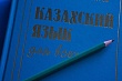 обязательное тестирование по языку для отдельных категорий граждан ввели в казахстане