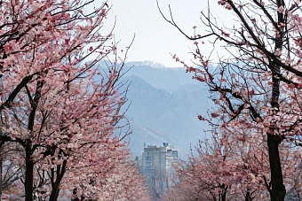 какая погода ожидается в центральной азии в среду, 26 февраля 2025