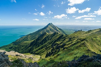 вэф – 2023: между сахалином и узбекистаном запустят авиарейсы