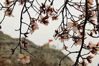 тепло, дожди и грозы: погода в странах центральной азии в субботу, 9 марта 2024