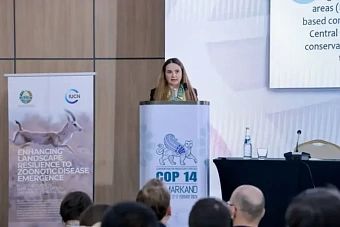 в центральной азии запустили региональный природоохранный проект «единое здоровье»