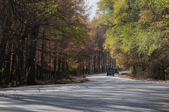 кратковременные дожди пройдут в узбекистане и кыргызстане: погода в четверг, 19 сентября 2024