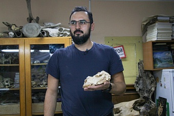 останки древнего верблюда, жившего 2,5 млн лет назад, обнаружили в таджикистане