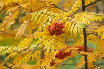 дожди уходят, ветер усилится в казахстане: погода в понедельник, 9 сентября 2024