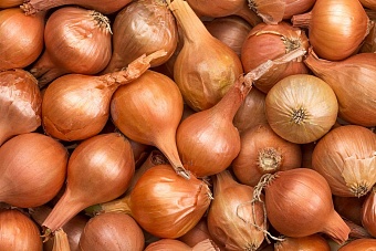 в казахстане разбронируют госзапасы овощей