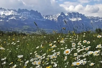 какая погода ожидается в казахстане на предстоящей неделе, с 19 по 25 мая 2025