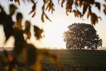 дожди и усиление ветра в узбекистане, без осадков в кыргызстане: погода в понедельник, 21 октября 2024