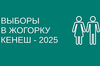 Волки в овечьих шкурах: как Запад толкает в парламент Кыргызстана своих кандидатов