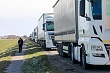 62 фуры выпустят из казахстана в китай
