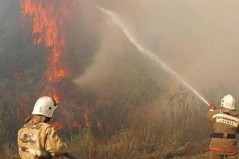 природный пожар с алтайского края перекинулся на территорию казахстана