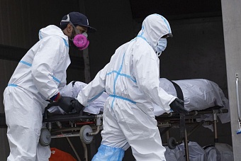 Зараза от животных все чаще передается людям в Таджикистане